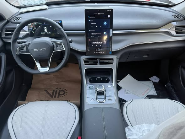 BYD ديستروير 2025 - صورة 5