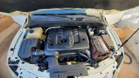 سانك يونك Song 2011 - صورة 3