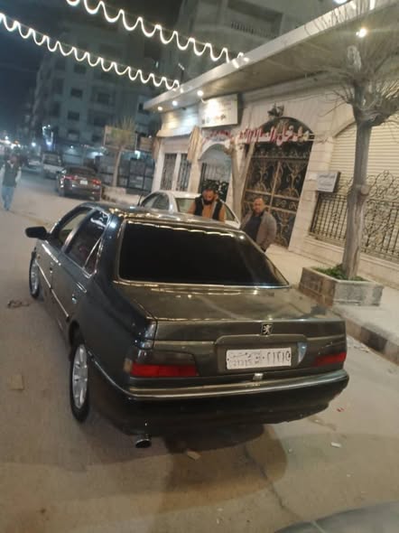 بيجو بارس 2001 - صورة 5