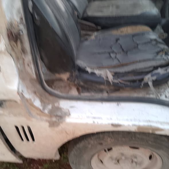 سوزو عمومي 1994 - صورة 2