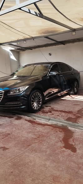 جنسس لطاش 2014 - صورة 3