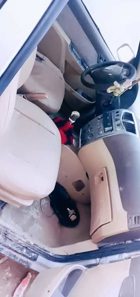 شانا 2008 2008 - صورة 2