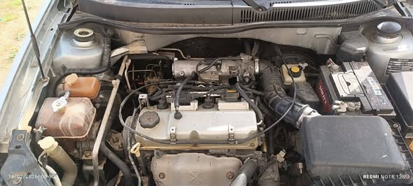 برلنس 2009 2009 - صورة 4