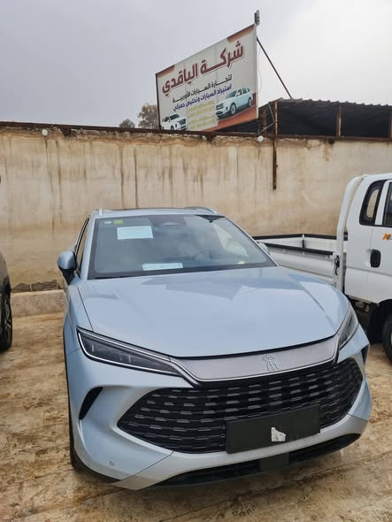 بي واي دي سونج إل 2025 - صورة 2