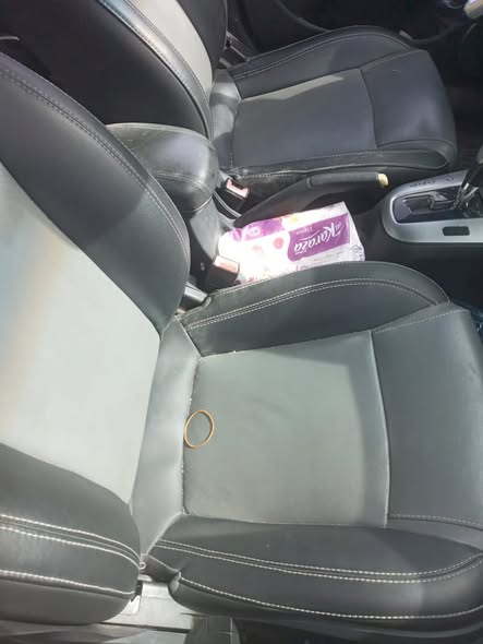 ديو لاستي 2009 - صورة 4