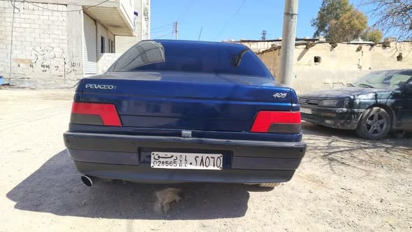 بيجو 93 1993 - صورة 5