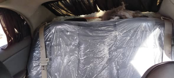 كيا سيراتو 2007 - صورة 3