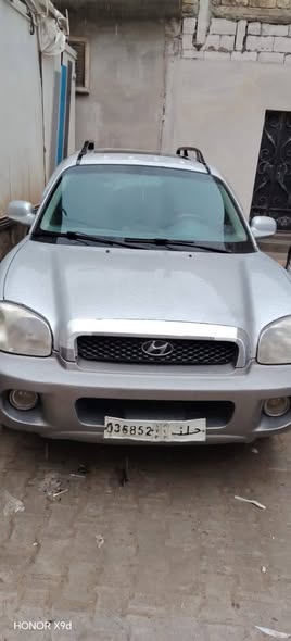 هيونداي سانتا في 2005 - صورة 4