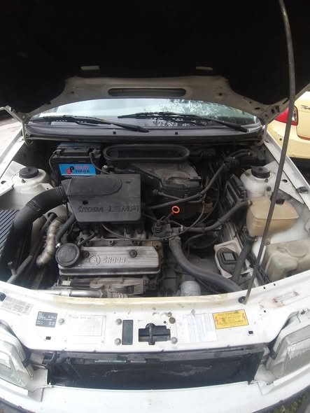 سكودة فينسيا قصيرة 2001 - صورة 5