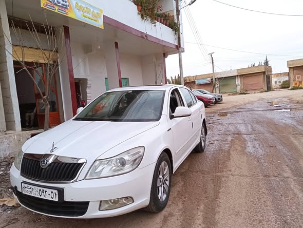 سكودا اوكتافيا 2010 - صورة 3