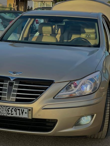 جينسس جينسس 2009 - صورة 3