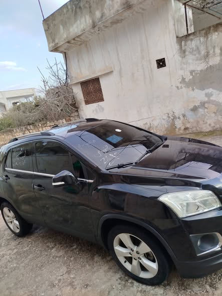 شفر تركس 2013 - صورة 2