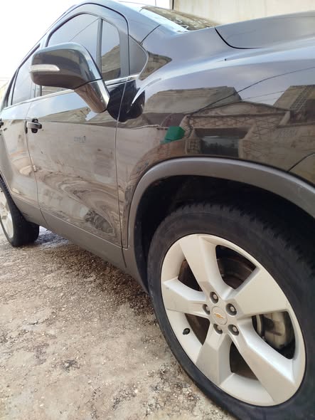 شفر تركس 2013 - صورة 4