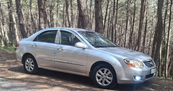 كيا سيراتو 2008 - صورة 2