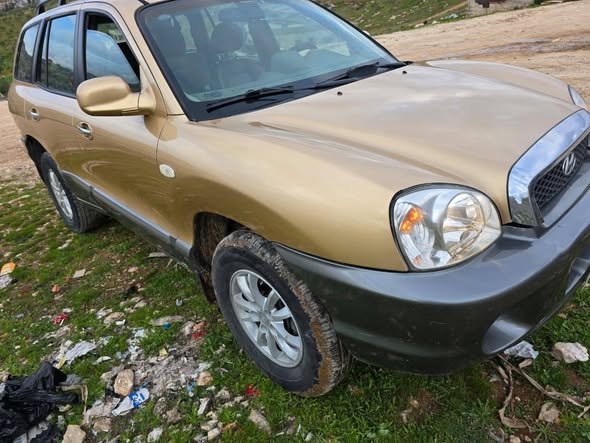 هيونداي سانتا في 2003 - صورة 1