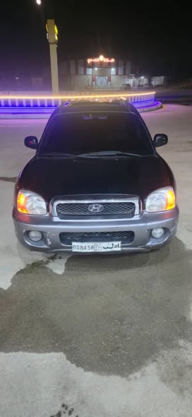 هيونداي سانتافي 2004 - صورة 3