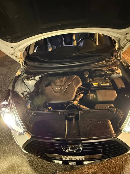 هيونداي فولستر 2012 - صورة 2