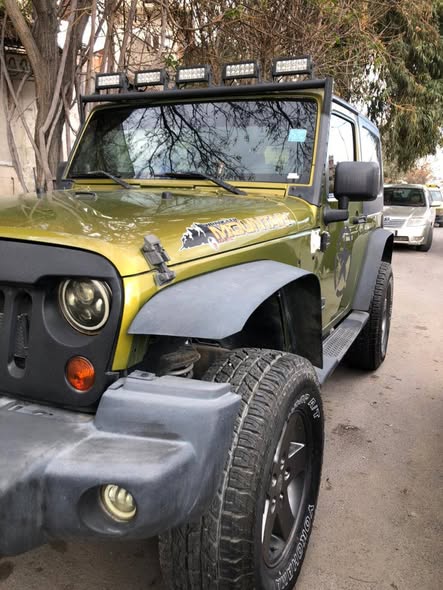 جيب رانجلر 2010 - صورة 3