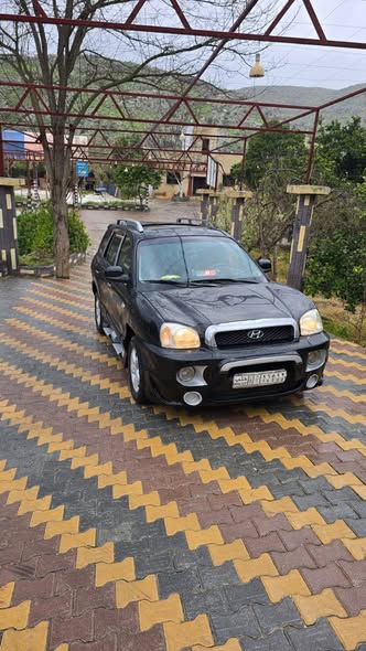 هيونداي سنتافي 2004 - صورة 1