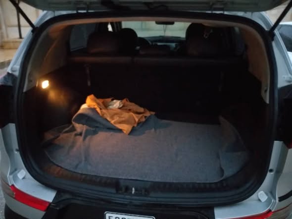 كيا سبورتاج R 2010 - صورة 3