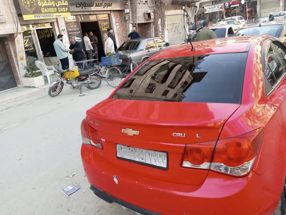 شفر كروز 2010 - صورة 2