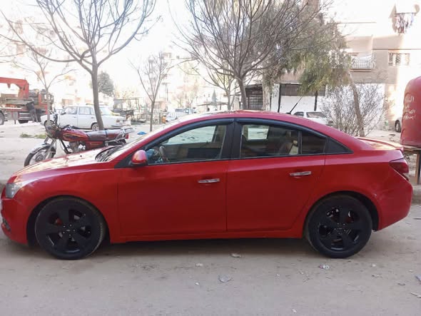 شفر كروز 2010 - صورة 4