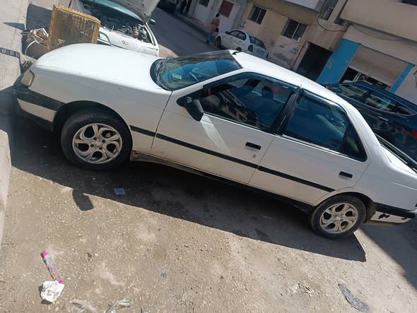 بيجو روى 2007 - صورة 2