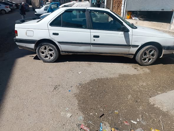 بيجو روى 2007 - صورة 4