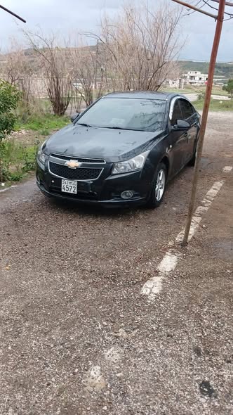 شفر كروز 2012 - صورة 2