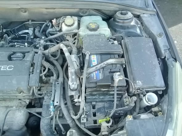 شفر كروز 2012 - صورة 5