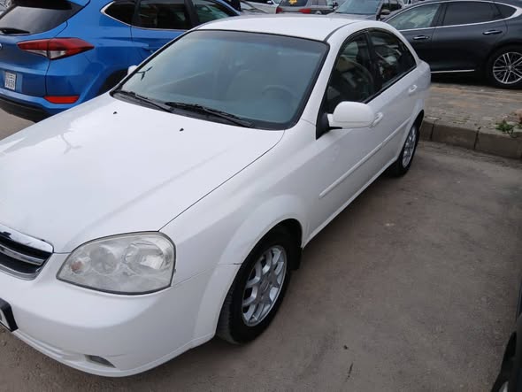 شفر وبترا 2008 - صورة 2