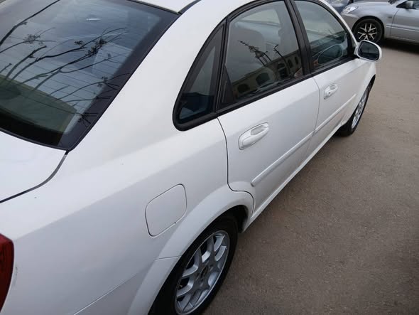 شفر وبترا 2008 - صورة 3