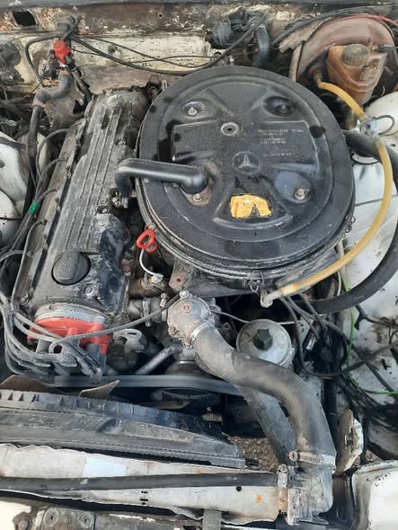 مارسيدس 280 1976 - صورة 5