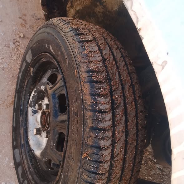 سكودا بيكاب 1995 - صورة 2