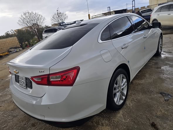 شفر ماليبو 2017 - صورة 3