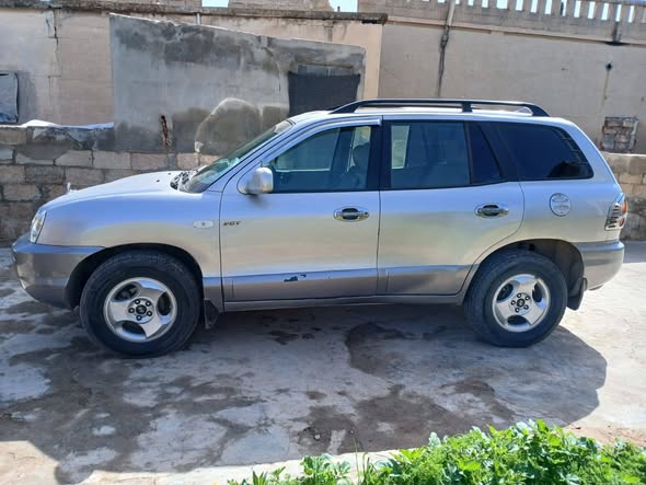 هيونداي سانتافي 2004 - صورة 1