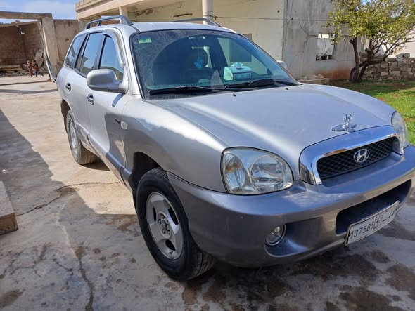 هيونداي سانتافي 2004 - صورة 2