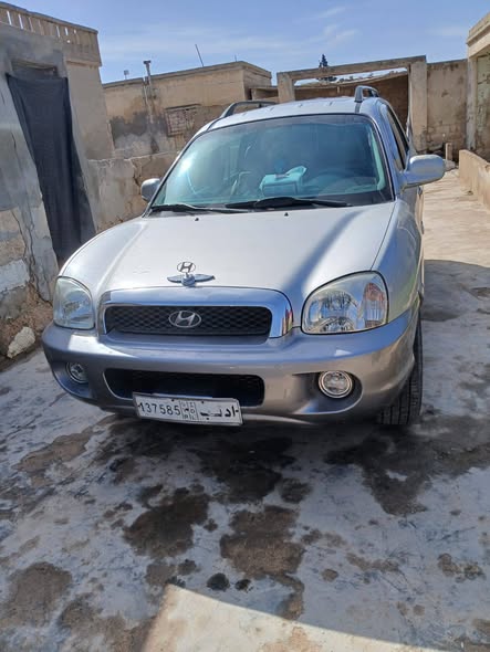 هيونداي سانتافي 2004 - صورة 5