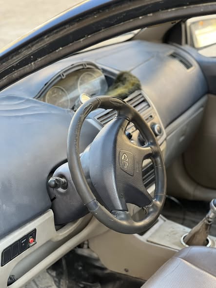 فاو كرت 2010 - صورة 4