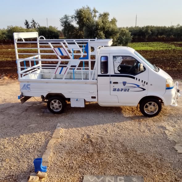 هافي زنار 2010 - صورة 4