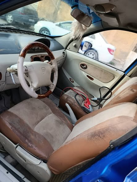 هافي لابو 2005 - صورة 5