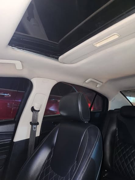 شيري اريزو6 2020 - صورة 4