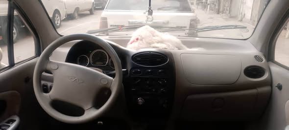 شيري كيو كيو 2004 - صورة 2