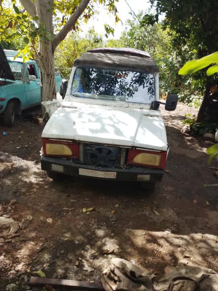 أرو عمومي 1994 - صورة 1