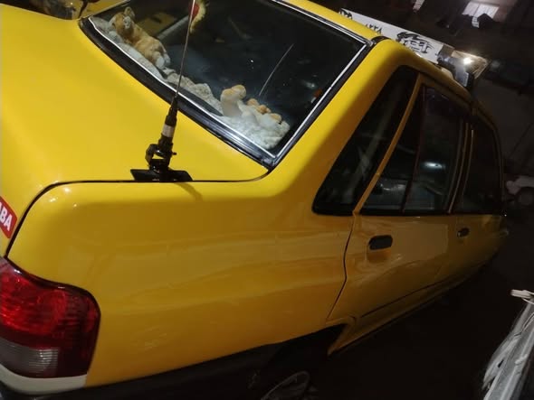 سايبا سابا 2020 - صورة 3