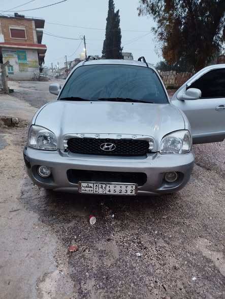 هيوانداي سانتافيه 2004 - صورة 2