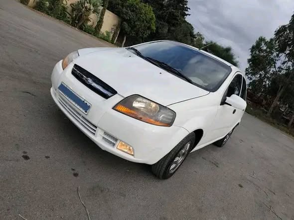 شفر آفيو 2004 - صورة 1