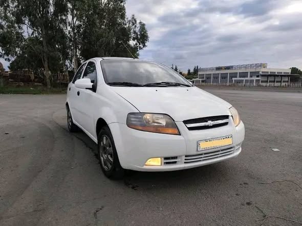 شفر آفيو 2004 - صورة 3