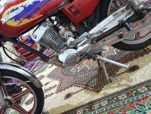 عقاد مرش 2019 - صورة 3