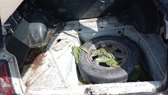 لادا 2002 2002 - صورة 4